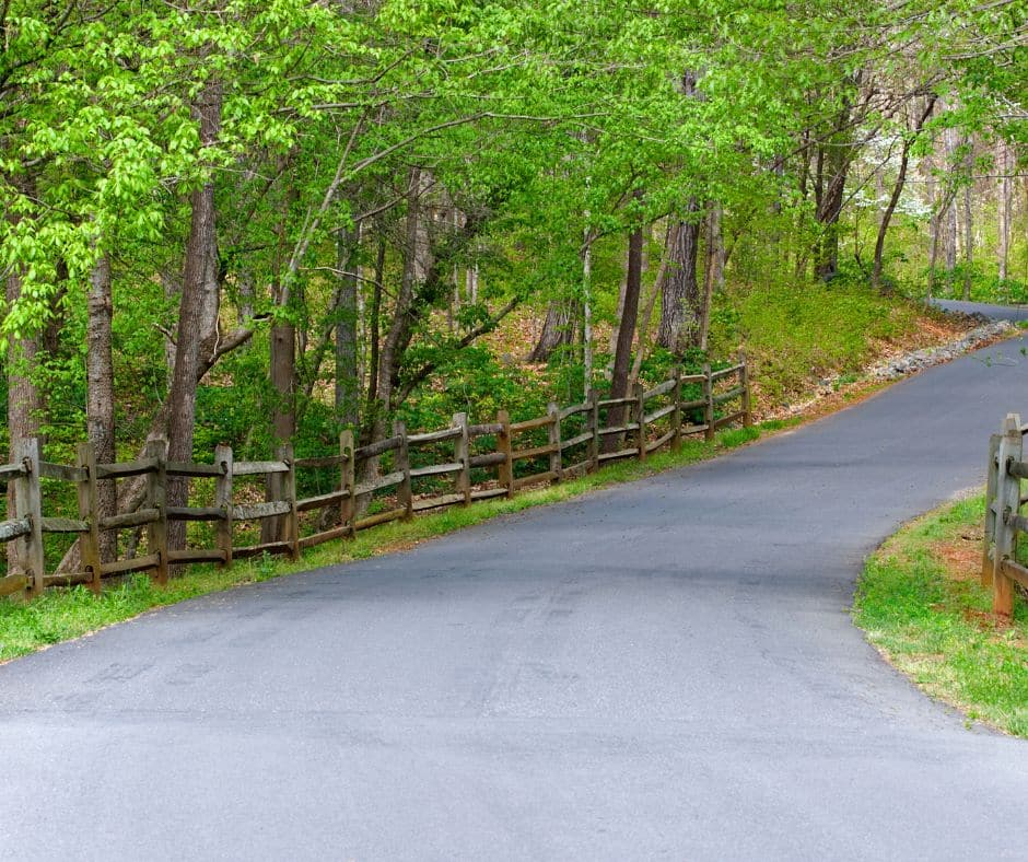 Curving paved road with a rustic wooden fence lined by lush greenery and trees in a serene setting.